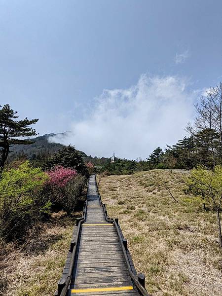 雲霧步道6.jpg