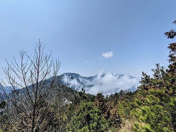 雲霧步道7.jpg