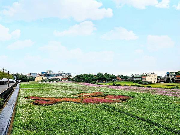 桃園花彩節平鎮場12.jpg