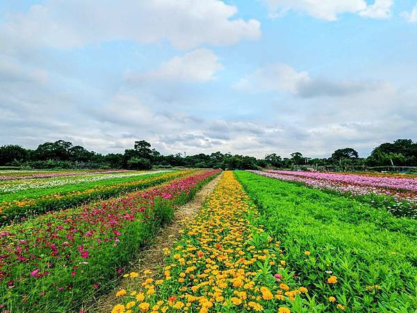 桃園花彩節平鎮場28.jpg