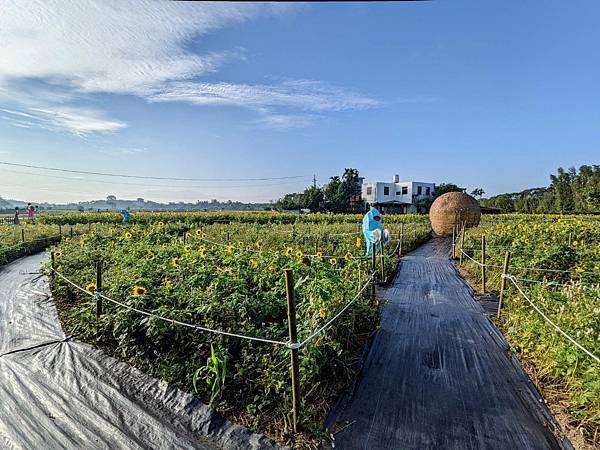 桃園花彩節平鎮場18.jpg