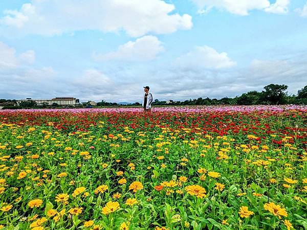 桃園花彩節平鎮場27.jpg