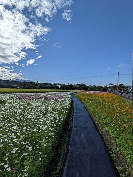 2021桃園花彩節-大溪展區11.jpg