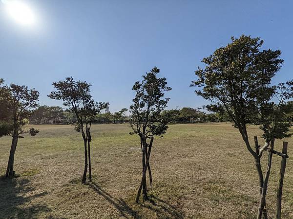 秀水龍騰公園-10.jpg