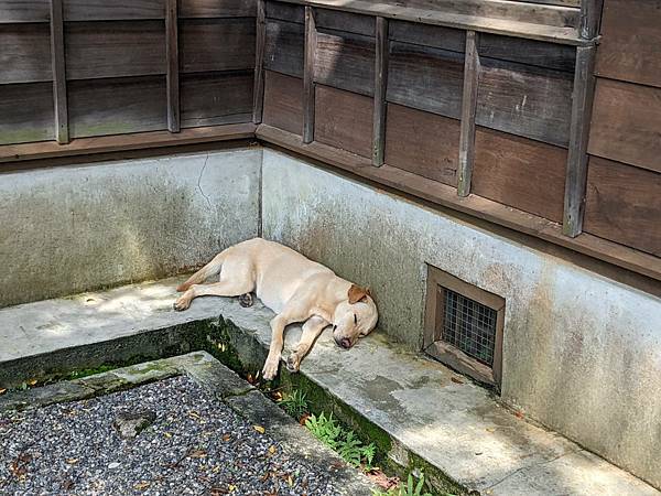 桃園神社-19.jpg