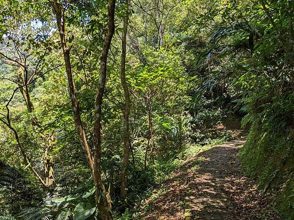 永安景觀步道、八卦茶園觀景台、石碇千島湖觀景台-09.jpg