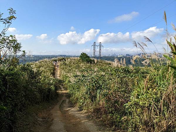 三角埔頂山(羌子寮山) -11.jpg