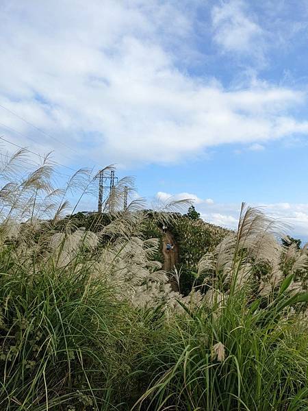 三角埔頂山(羌子寮山) -15.jpg