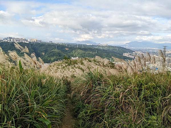 三角埔頂山(羌子寮山) -19.jpg