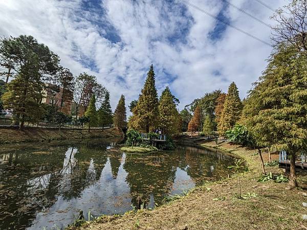 長庚養生文化村-落羽松公園-05.jpg