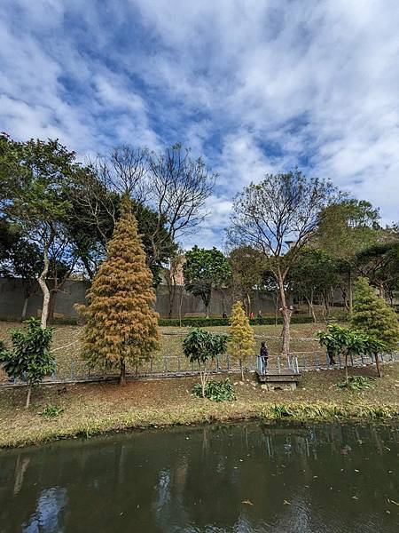 長庚養生文化村-落羽松公園-12.jpg