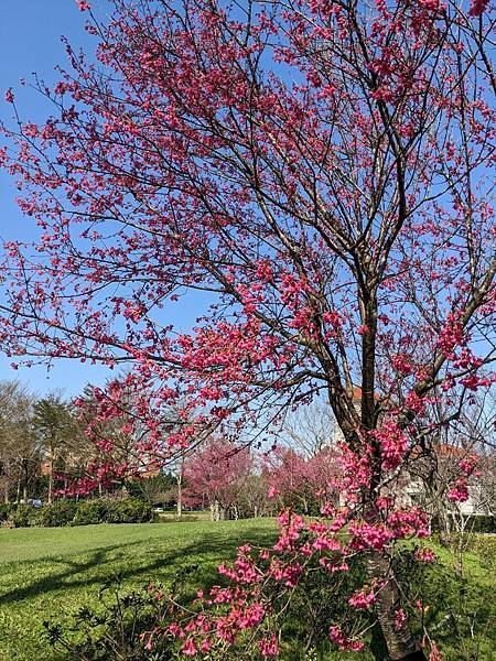 渴望會館中央公園-01.jpg