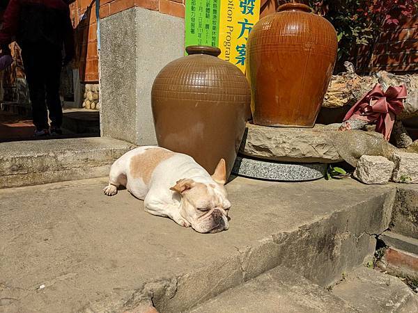 東里家風古厝-12.jpg