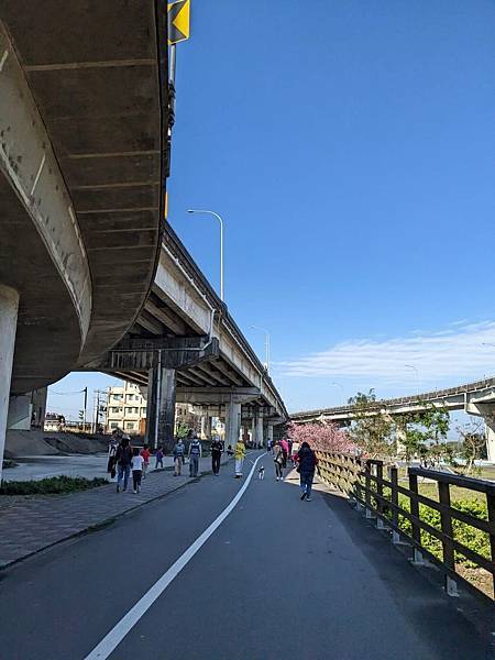 頭前溪橋左岸櫻花步道-02.jpg