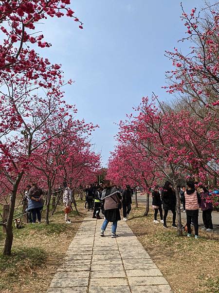 中科崴立櫻花公園-18.jpg