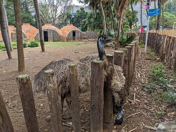 新竹市立動物園-08.jpg