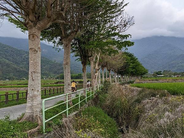 關山環鎮自行車道-14.jpg