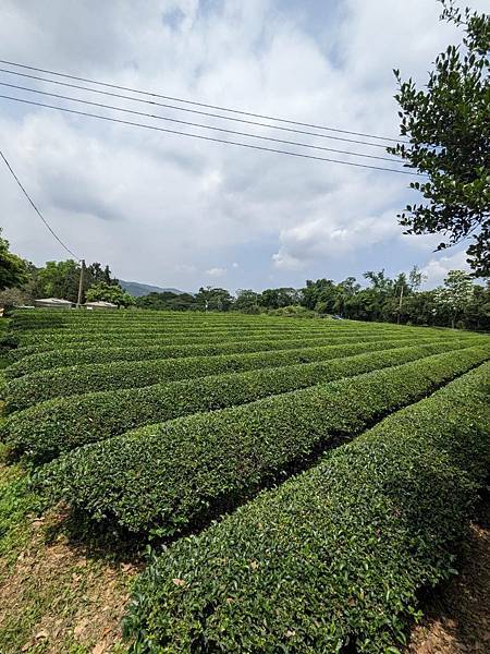 和窯文創園區-10.jpg