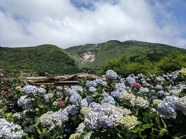 頂湖財福繡球花園-09.jpg