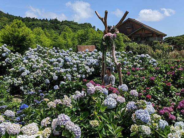 頂湖財福繡球花園-16.jpg