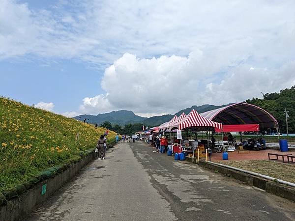 大湖社寮角金針花廊道-04.jpg