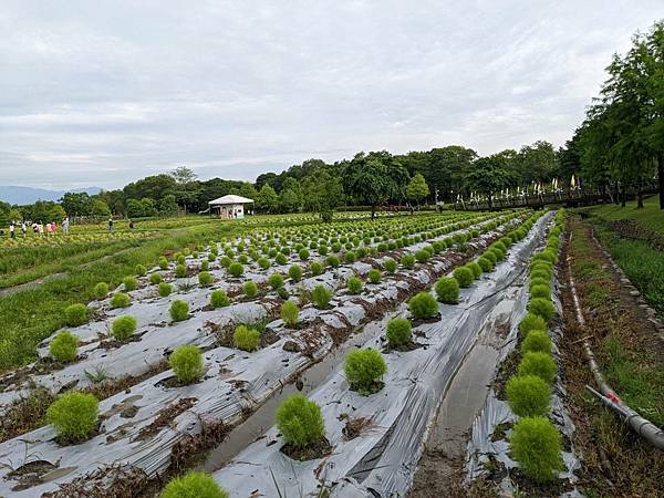 2023冬山熱氣球嘉年華-05.jpg