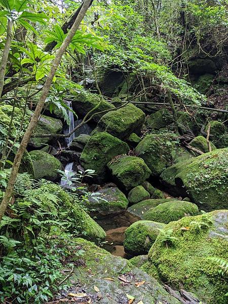 台北大縱走第四段-12.jpg