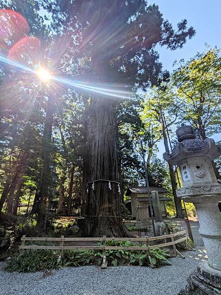 天空の鳥居-河口淺間神社遙拜所-08.jpg