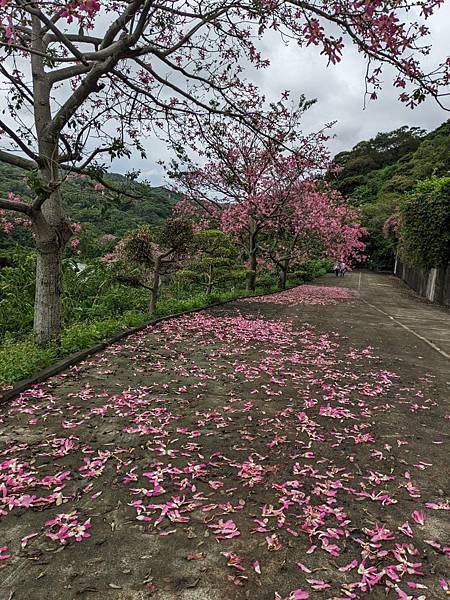 基礎忠恕道院-04.jpg