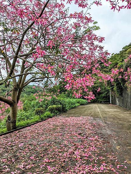 基礎忠恕道院-05.jpg