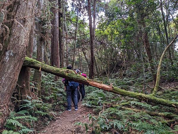 民都有山-26.jpg