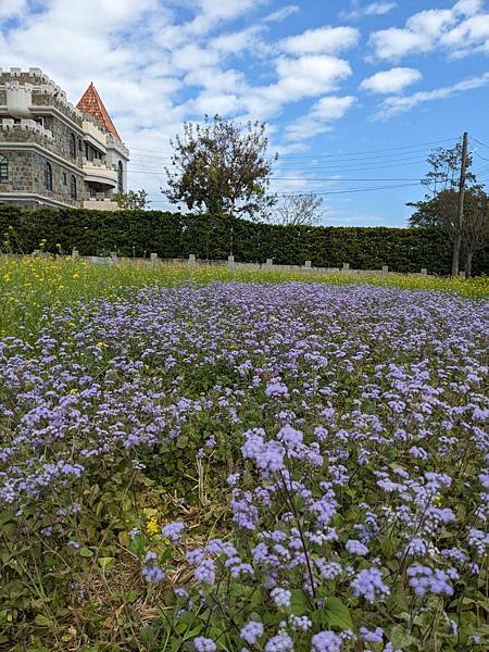 農村城堡耕牛園旁農田-09.jpg