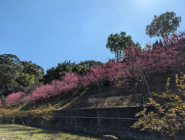 三峽紫微天后宮-06.jpg