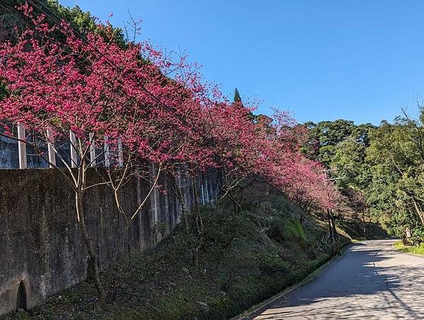 三峽紫微天后宮-02.jpg