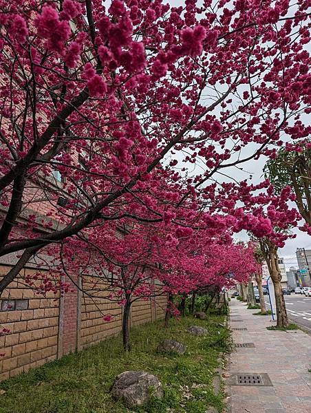 人客旅館櫻花-01.jpg