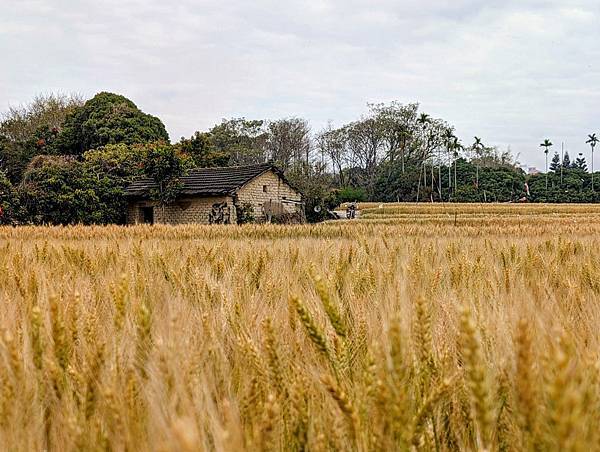 大雅小麥田土角厝-04.jpg