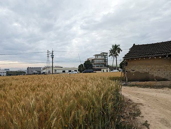 大雅小麥田土角厝-10.jpg