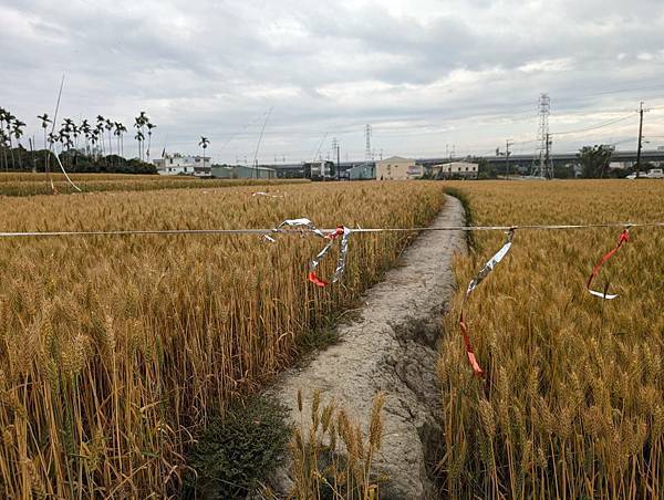 大雅小麥田土角厝-14.jpg