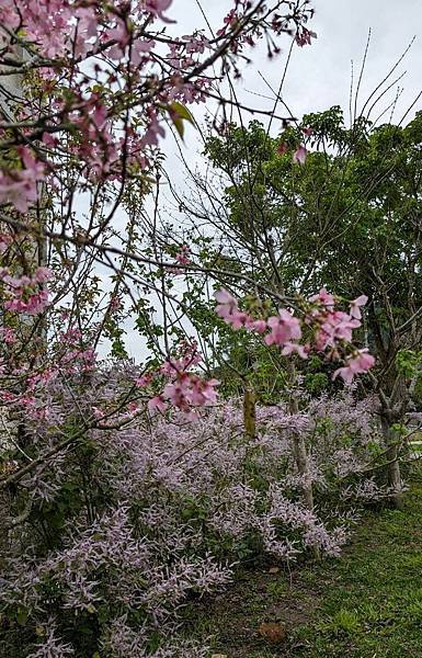 關西來春花園民宿-12.jpg