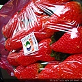strawberry．草莓族必備