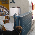 a very cute bookstore & its cute guard dog. 可愛的小書店與可愛看門狗