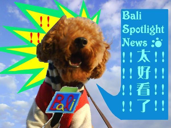 Bali Spotlight News太好看啦!!