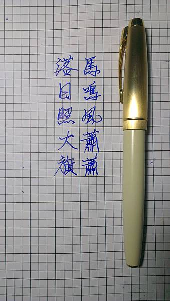 IMAG0870.jpg IMAG0870.jpg