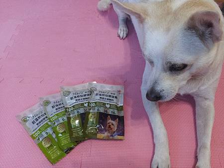 20151226_121457 20151226_121457