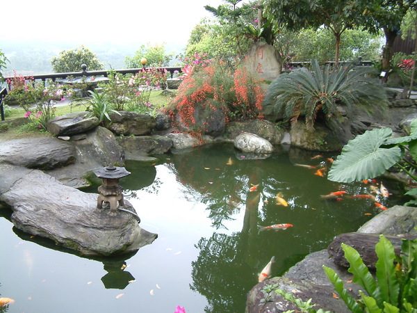 日式庭院