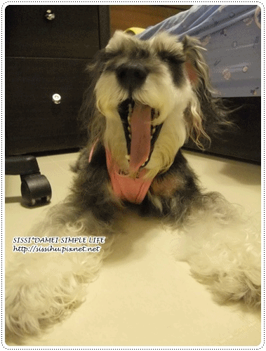 anigif.gif anigif.gif