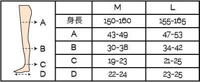 QTTO尺寸