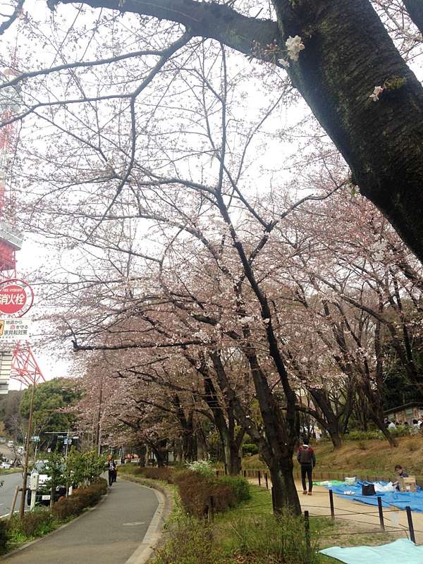 日本 東京景點推薦 赤羽橋駛 芝公園 賞櫻 欣賞東京鐵塔 姐妹倆吃喝玩樂不想停 痞客邦 日本 東京景點推薦 赤羽橋駛 芝公園 賞櫻 欣賞東京鐵塔 姐妹倆吃喝玩樂不想停 痞客邦
