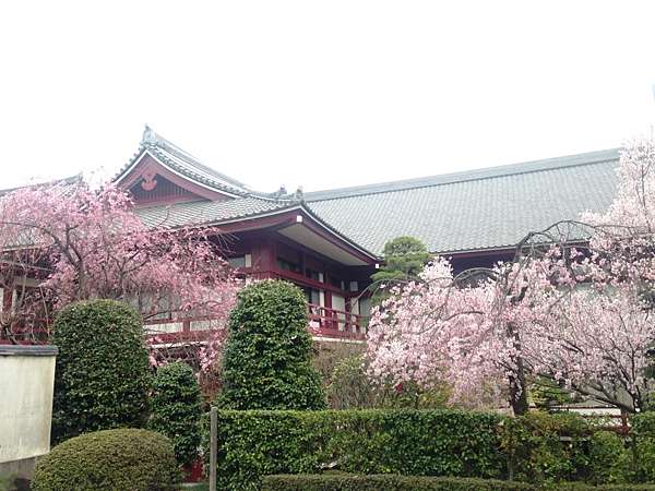 日本 東京景點推薦 赤羽橋駛 芝公園 賞櫻 欣賞東京鐵塔 姐妹倆吃喝玩樂不想停 痞客邦 日本 東京景點推薦 赤羽橋駛 芝公園 賞櫻 欣賞東京鐵塔 姐妹倆吃喝玩樂不想停 痞客邦