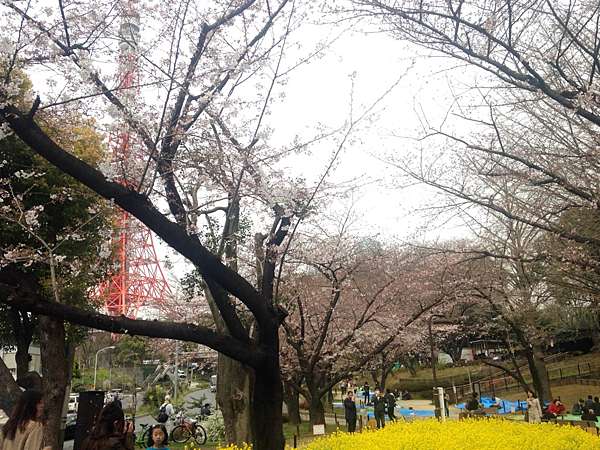 日本 東京景點推薦 赤羽橋駛 芝公園 賞櫻 欣賞東京鐵塔 姐妹倆吃喝玩樂不想停 痞客邦 日本 東京景點推薦 赤羽橋駛 芝公園 賞櫻 欣賞東京鐵塔 姐妹倆吃喝玩樂不想停 痞客邦